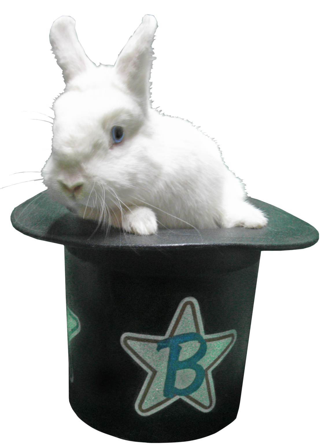 Balloons The Clown Easton PA